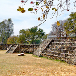 Row of Altars at Teopanzolco