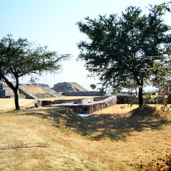 Looking South East along the East Court at Xochicalco
