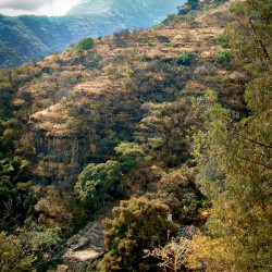 Cerro de los Idolos at Malinalco