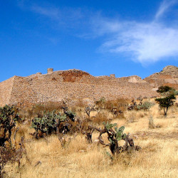 Foundations of Columns Group at La Quemada