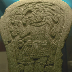 The back of a palma from Central Veracruz