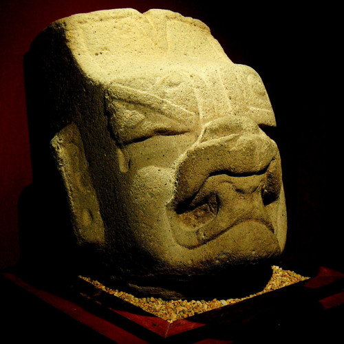 A statue head of the Olmec Were-Jaguar