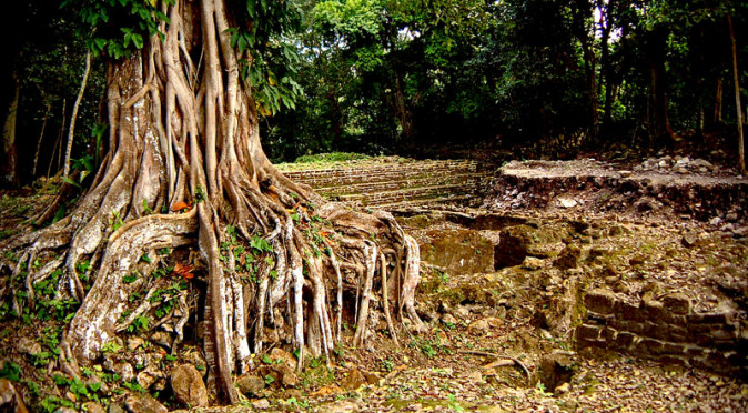 Residential Area at Lamanai