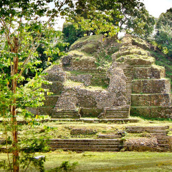 Jaguar Temple at Lamanai