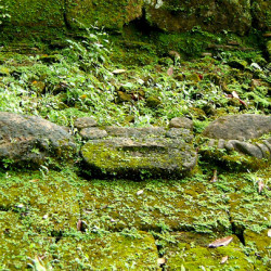 Motif on Structure 1B-1 at Quirigua