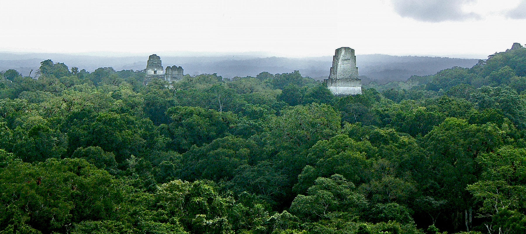 Tikal