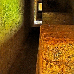 One of the chambers within the Bat Palace at Tikal