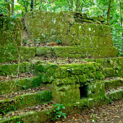 A Temazcalli (Steam or Bath House) from Tikal