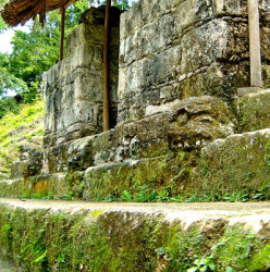 The Skulls from Structure 5D-87 at Tikal