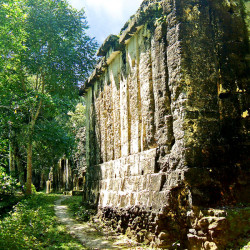 A view of the rear of the Acanaladuras Palace at Tikal