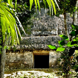 Temple of Inscriptions (Templo VI), at Tikal