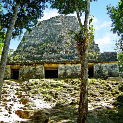 Temple of Inscriptions (Templo VI), at Tikal