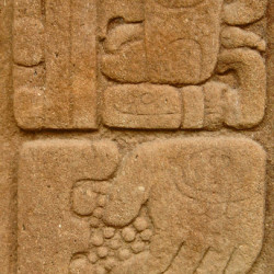 Glyphs from the front of Stela C at Quirigua