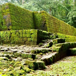 Rear South Corner of Acropolis at Quirigua