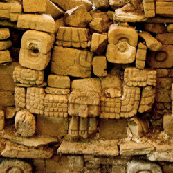 Carved Stone Inside 1B-3 at Quirigua