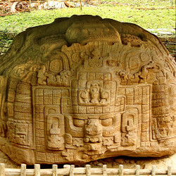 Zoomorfo P at Quirigua