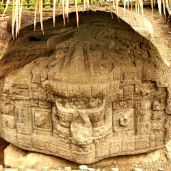 Zoomorfo O at Quirigua