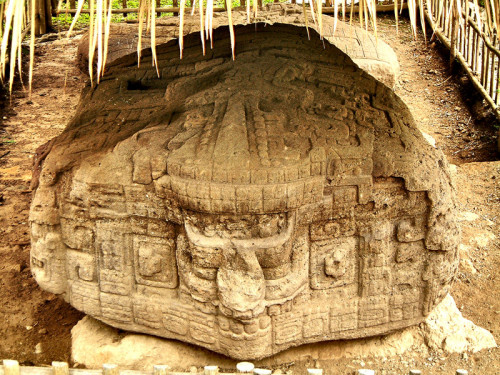 The front of Zoomorph O