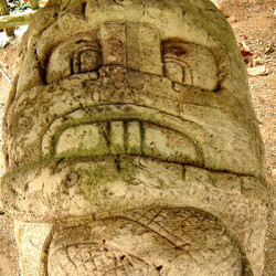 The top of Zoomorfo N at Quirigua