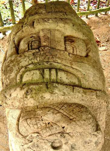 View of Zoomorph N from above