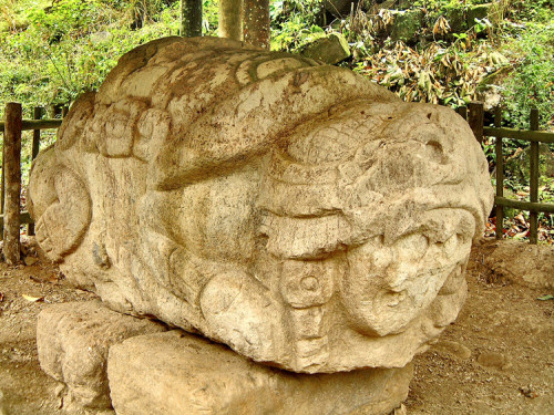 Front image of Zoomorph N