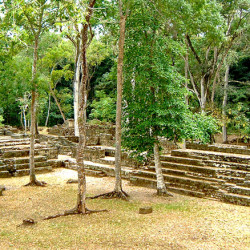 Copan's El Cementario Area known as Group 3
