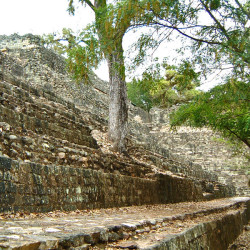 Veiw of Structure 26