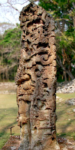 W1118S: Stela D (Side)