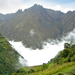 Maize Fields alonside the Inca Trail