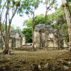 Chicanna Structure X