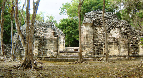 Chicanna Structure X